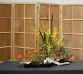 45 - Catherine Seaborn.jpg 6.0K